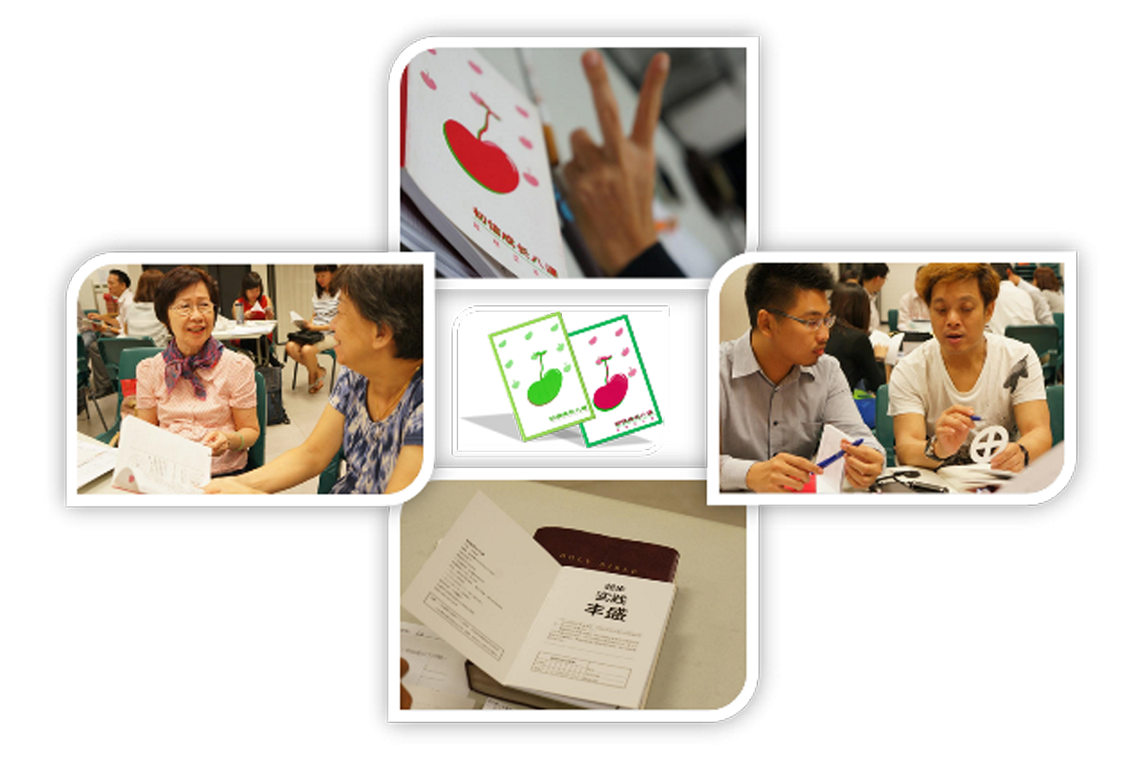 初信栽培成长八课